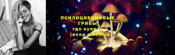 прущие крисы Армянск