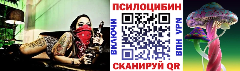 Псилоцибиновые грибы Psilocybe  Курган 
